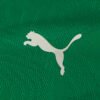 Camisa Treino Puma Fluminense 2026/27 Verde