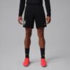 Shorts Brasil Jordan Academy Pro 2026 Treino Masculino