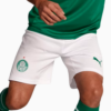 Shorts Palmeiras 2025 I – Torcedor