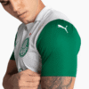 Camisa Puma Palmeiras 2025/26 II - R. Veiga N° 23
