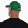Boné Palmeiras Aba Curva Supercap – Adulto