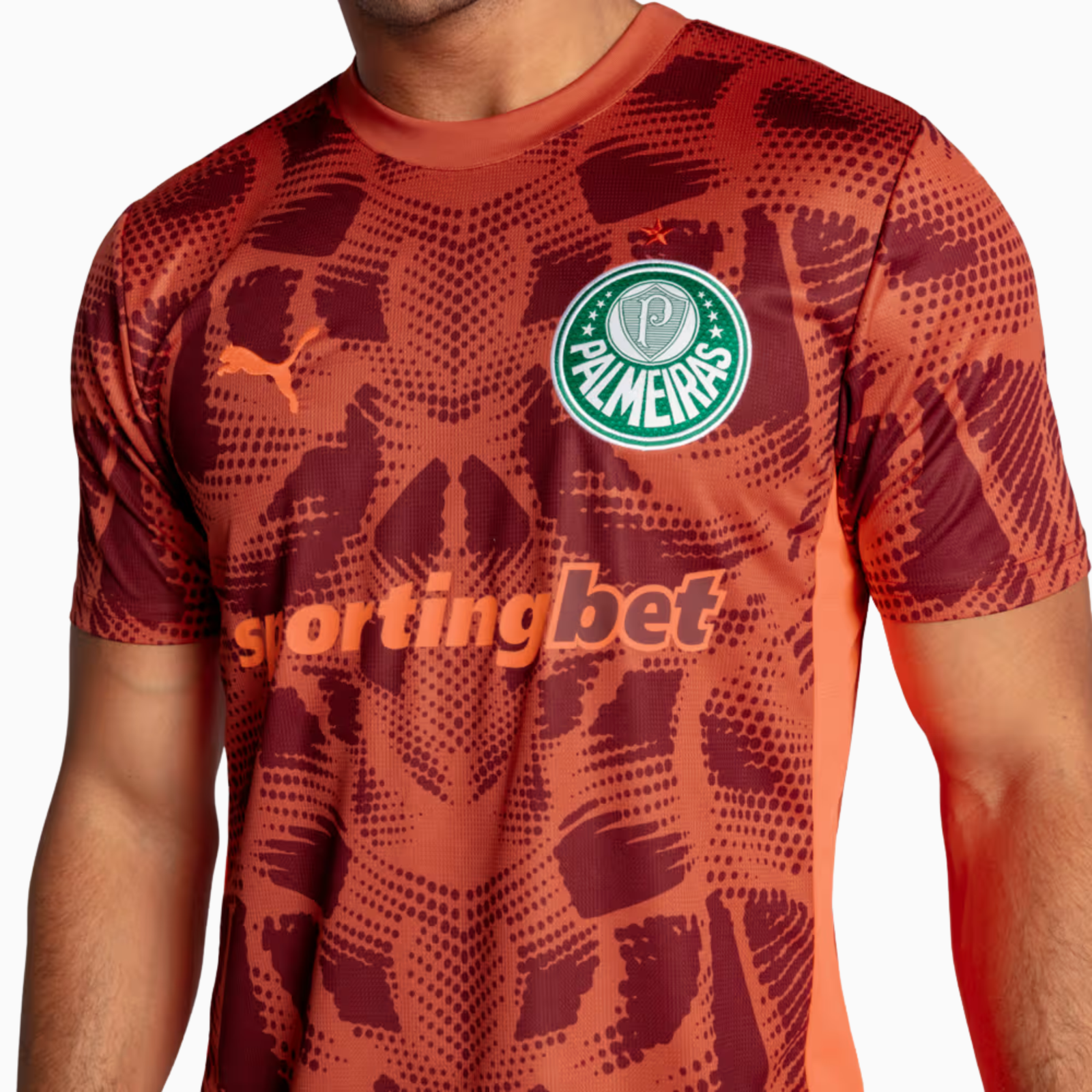 Camisa Goleiro Palmeiras 2025/26 II – Torcedor Camisa Goleiro Palmeiras 2025/26 II – Torcedor