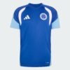 Camisa Treino Cruzeiro 2026/27