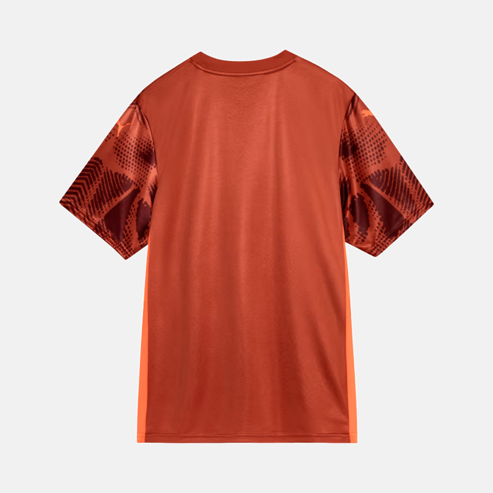 Camisa Goleiro Palmeiras 2025/26 II – Torcedor Camisa Goleiro Palmeiras 2025/26 II – Torcedor