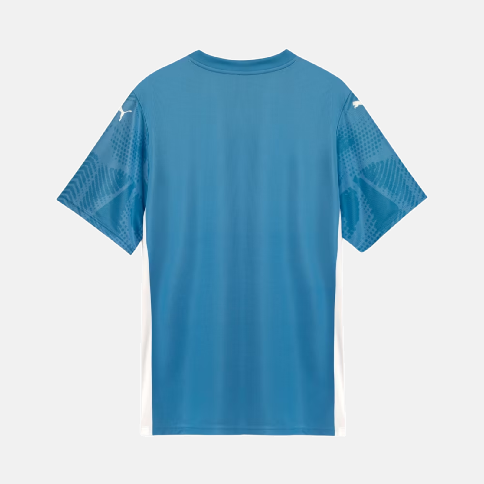Camisa Goleiro Palmeiras 2025 I – Torcedor Camisa Goleiro Palmeiras 2025 I – Torcedor