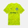 Camisa Goleiro Palmeiras 2026/27 III