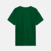 Camisa Puma Palmeiras 2025/26 I - Richard Rios N° 8