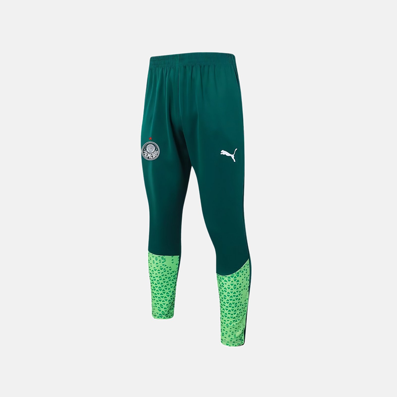 Conjunto de Treino Puma Palmeiras 2024/25 II – Masculino Conjunto de Treino Puma Palmeiras 2024/25 II – Masculino