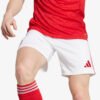 Shorts Adidas Arsenal 2025/26 I
