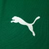 Camisa Puma Palmeiras 2026/27 I Jogador