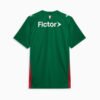 Camisa Puma Palmeiras 2026/27 I Jogador