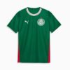 Conjunto Infantil Palmeiras 2026/27 I