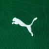 Conjunto Infantil Palmeiras 2026/27 I