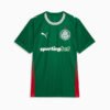 Camisa Puma Palmeiras 2026/27 I Jogador
