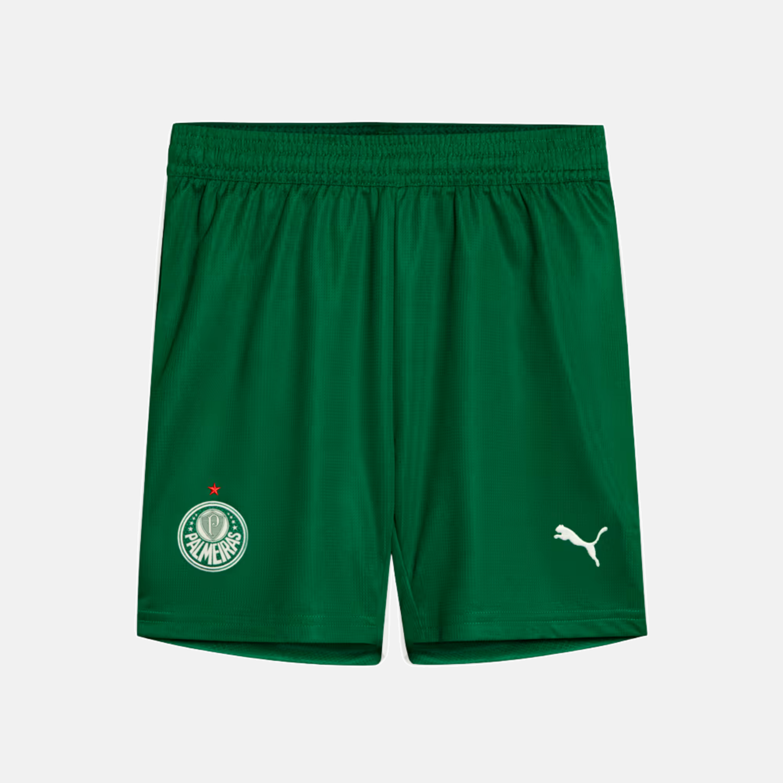 Shorts Palmeiras 2025 II – Torcedor